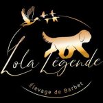 Lola T70S : la légende intemporelle se réinvente en version écologique découvrez la lola t70s, une légende réinventée alliant performance et respect de l'environnement grâce à des technologies éco-responsables.
