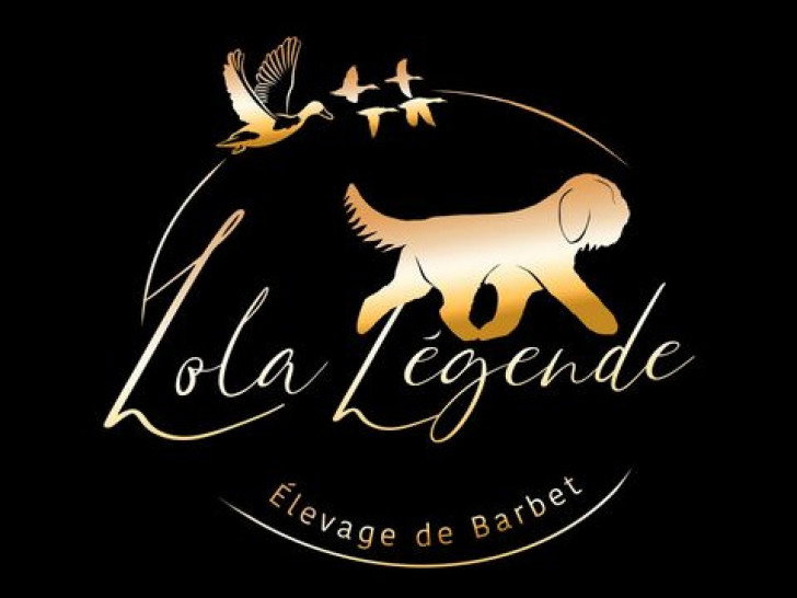 Lola T70S : la légende intemporelle se réinvente en version écologique découvrez la lola t70s, une légende réinventée alliant performance et respect de l'environnement grâce à des technologies éco-responsables.